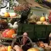 Готовые проекты для сада и огорода в российских регионах: что и как выращивать